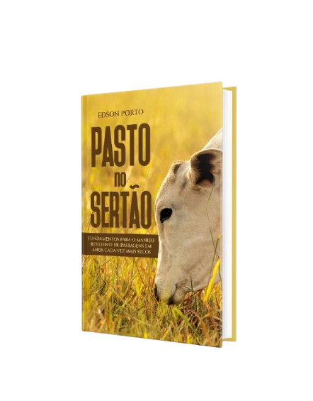 Pasto no Sertão: Fundamentos para o Manejo Resiliente em Regiões Secas
